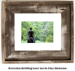 horseback riding near me in Clay, Alabama